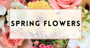 Flower Delivery to Green Bay by Schroeder's Flowers